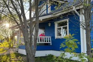 Дом «Синяя птица», Суздаль