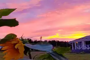 Домик с сауной