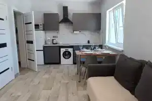 Двухкомнатный дом с огороженной территорией, Веселовка