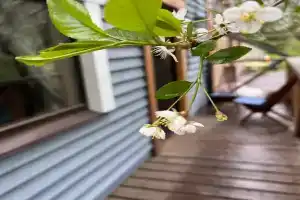 Частный дом, Петрозаводск