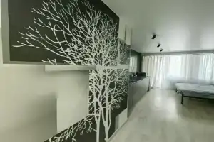 Студия у НГПУ, Новосибирск