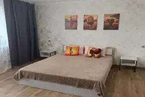 Двухкомнатная квартира на Молокова, Красноярск