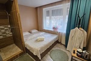 Двухместный номер с 1 кроватью стандарт, Москва