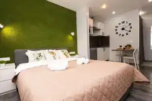 Апартаменты «Green Grass studio in Odintsovo»