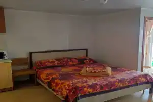 Студия, Голубицкая