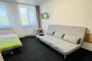 Студия, Ломоносов