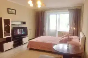 Однокомнатная квартира в центре города