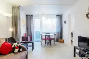 Квартира с Прусским котом, Калининград