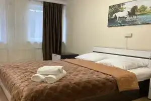 Двухместный номер с 1 кроватью Номер стандарт 2-местный, Переславль-Залесский