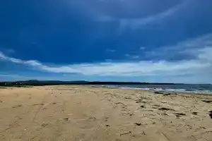 Уютный домик у моря, Волчанец