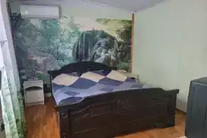 Двухместный номер с 1 кроватью эконом, Пицунда