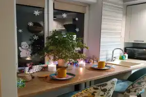 Щегол из Рыбной деревни, Калининград