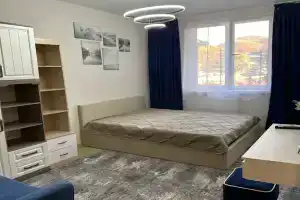 1-комнатная квартира, Головинка