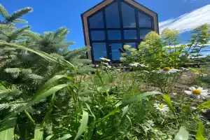 Уютный современный Барн в СПК Шестаковский