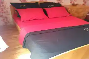 Четырёх местный номер, Гагра