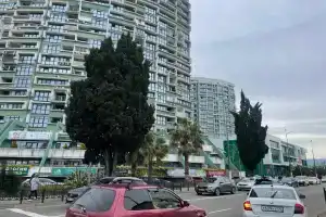 Студия в центре Сочи