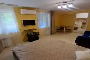 1-комнатная квартира, Сочи