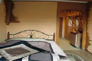 Двухместный номер с 1 кроватью Стандарт +