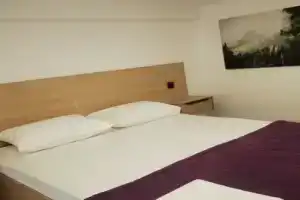 Студия, Сочи