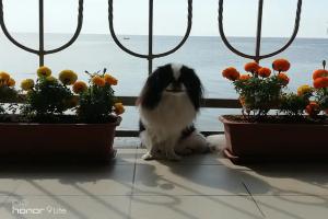 Номер с видом на горы