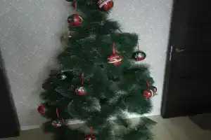 2-х комнатная уютная квартира