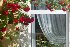 Уютный дом на Балтийской, Калининград