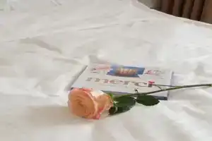 Апартамент, Нижний Новгород