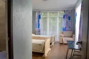 Трёхместный номер стандарт, Солоники