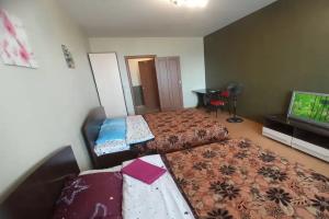 3-комнатная квартира, Красноярск