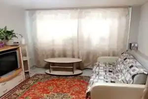Чистая, по домашнему уютная квартира, Лесной