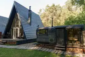 Треугольный дом в лесу Gray