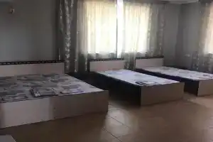 Четырёхместный номер улучшенный, Оленевка