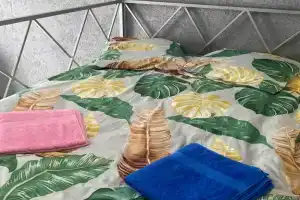 Студия, Старица