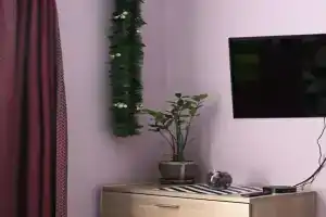 Апартаменты «BestFlat24 Владыкино studio2», Москва