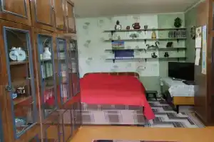 Уютная квартира с удобным месторасположением, Кемь