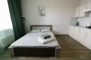 Комфортная студия | 2 Гостя | Wi-Fi | ИМР им. Цыба, Обнинск