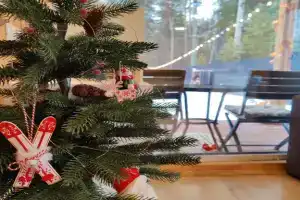 Домик с баней в лесу