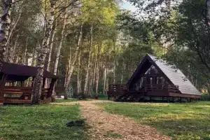 Дом в стиле A-fram