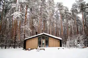 Уютный домик в сосновом бору
