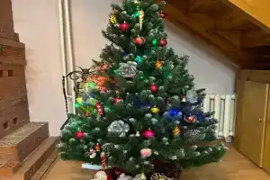 Уютный дом в Сосновом лесу