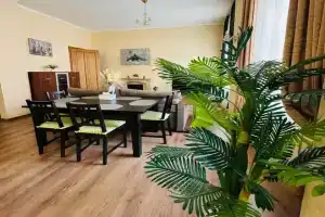 Евродвушка с камином в центре