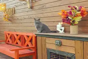 Дом -дуплекс с сауной, камином и фотозоной 12 месяцев