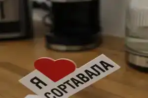 Уютный Сортавала, Сортавала
