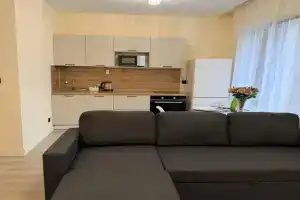 Трёхместный номер Студия SUITE «Берег Курортный» 716, Сестрорецк