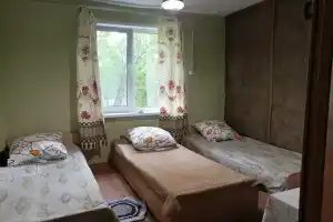 Гостевой дом «Две гусыни»