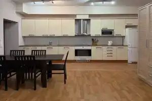 Просторная квартира в центре