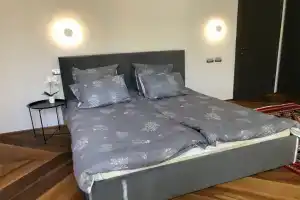 Звезда ДЛТ, Санкт-Петербург