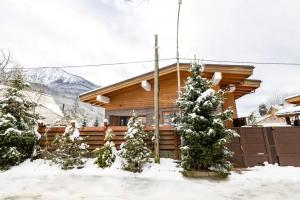 Гостевой дом «Горная резиденция в Красной Поляне»