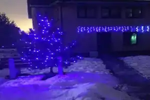 Коттедж на берегу Невы, Шлиссельбург