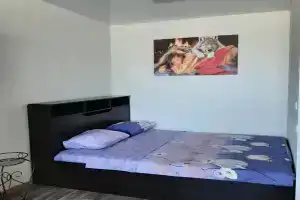 Уютная квартира, Светлый Яр